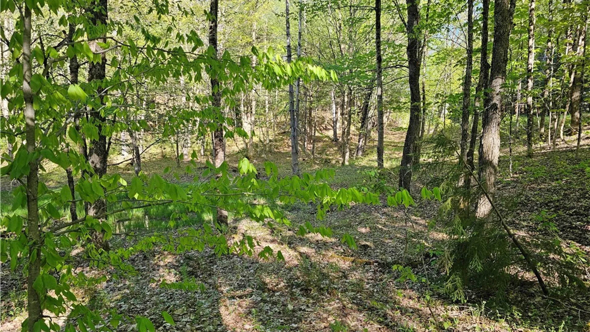 Property at Long Pond Road, Croghan, NY 13327 5