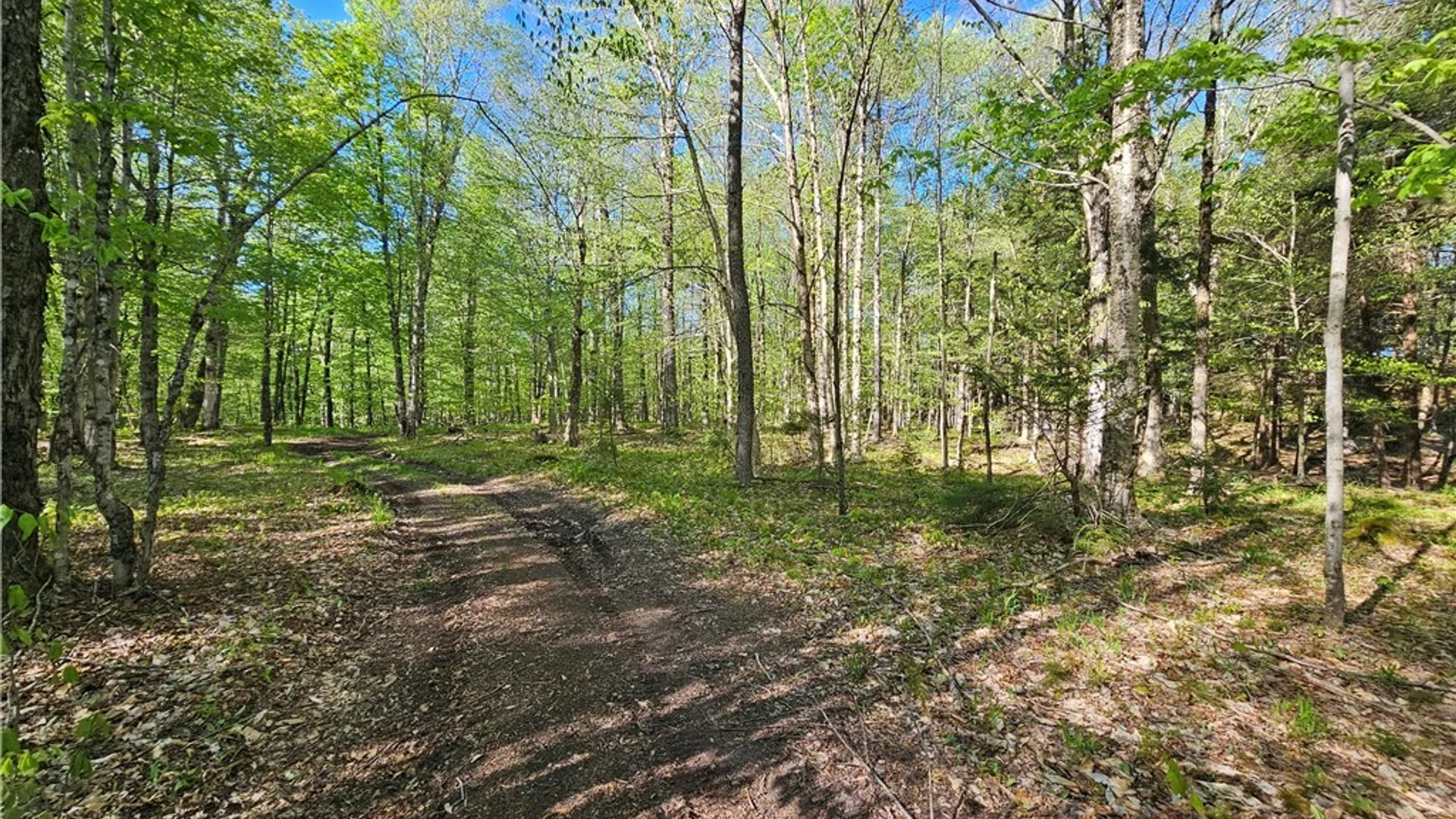 Property at Long Pond Road, Croghan, NY 13327 6
