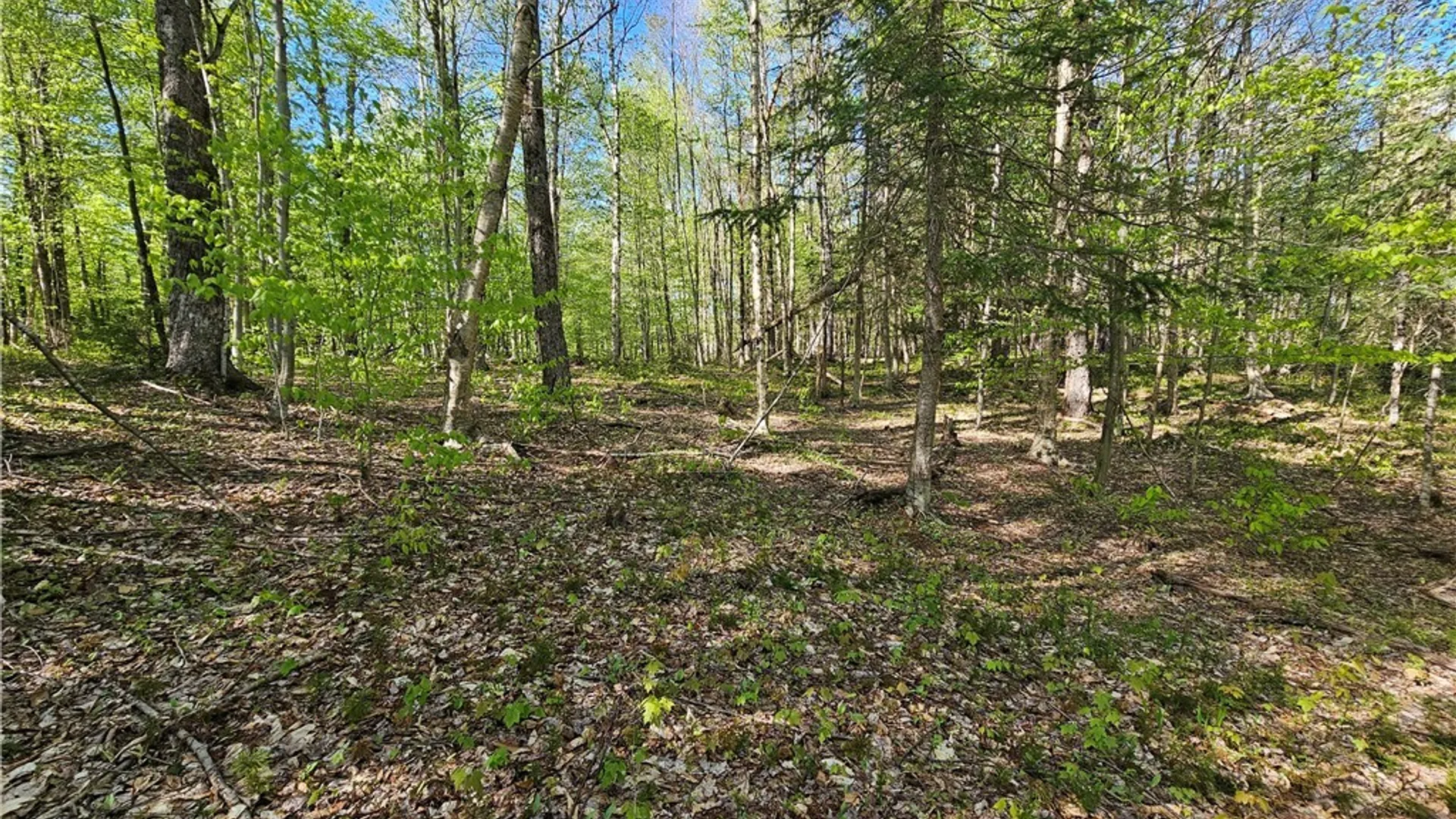 Property at Long Pond Road, Croghan, NY 13327 7