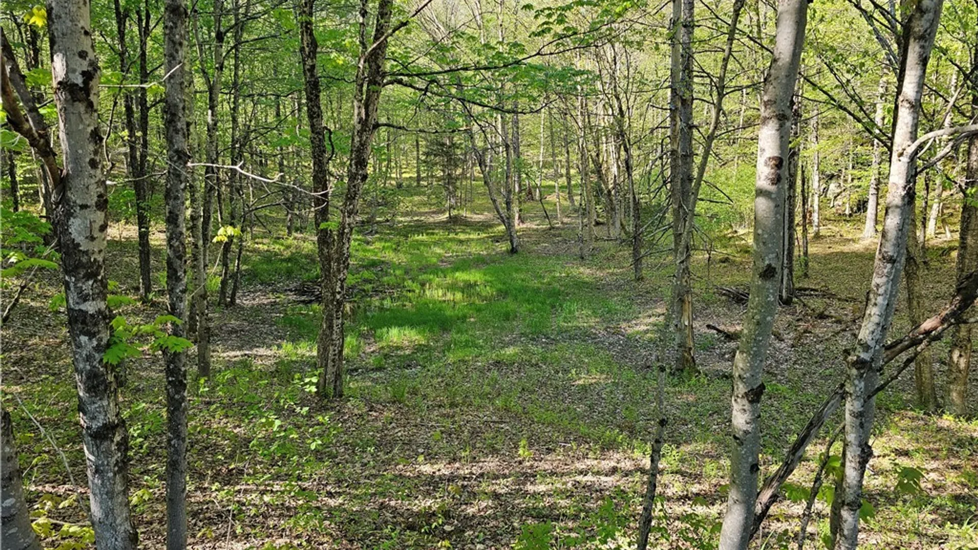 Property at Long Pond Road, Croghan, NY 13327 8