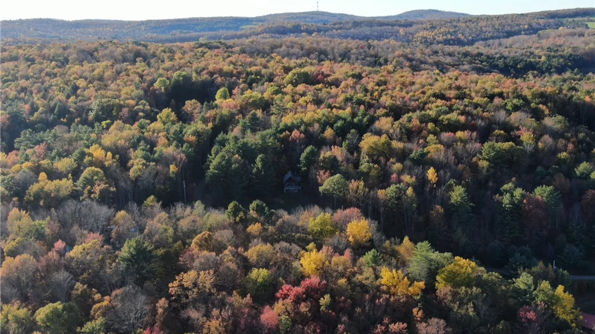 Property at 260 Log Cabin Lane, New Berlin, NY 13843 37