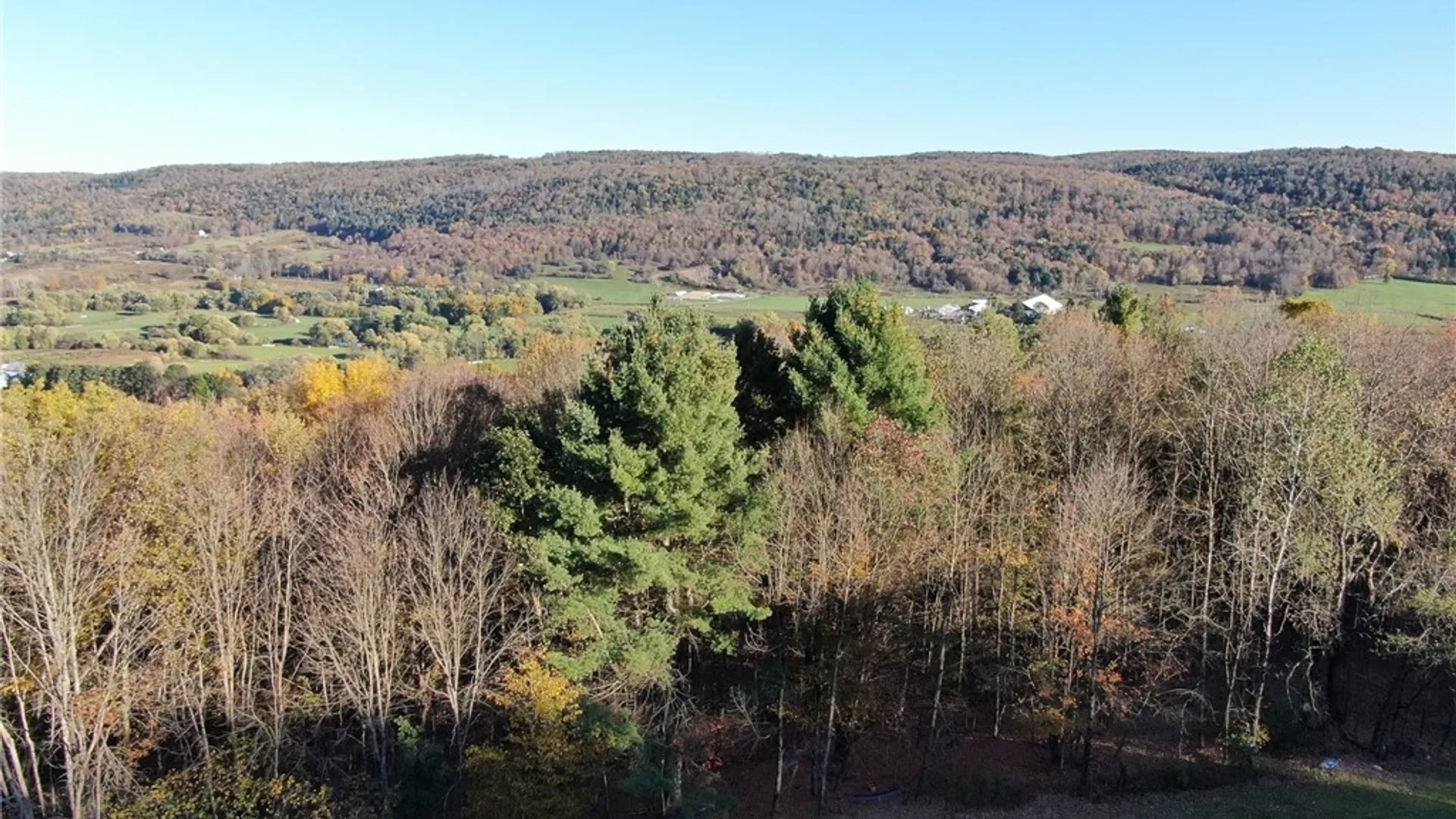 Property at 260 Log Cabin Lane, New Berlin, NY 13843 38