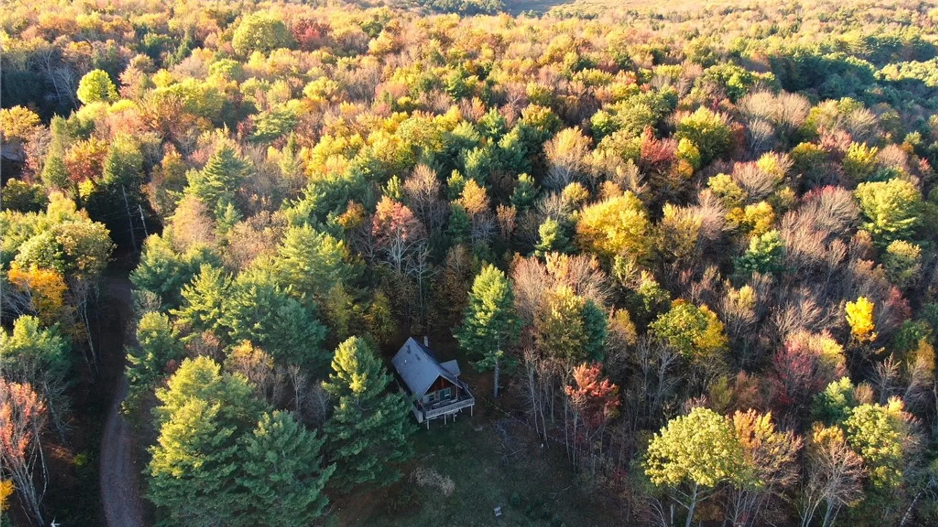 Property at 260 Log Cabin Lane, New Berlin, NY 13843 7