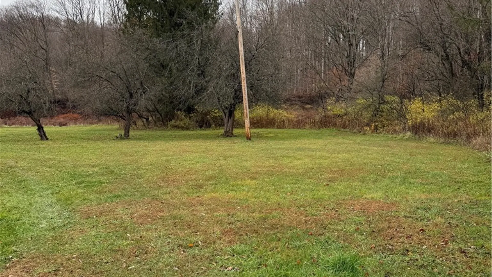 Property at 6521 Charlotte Center Road, Charlotte, NY 14782 15