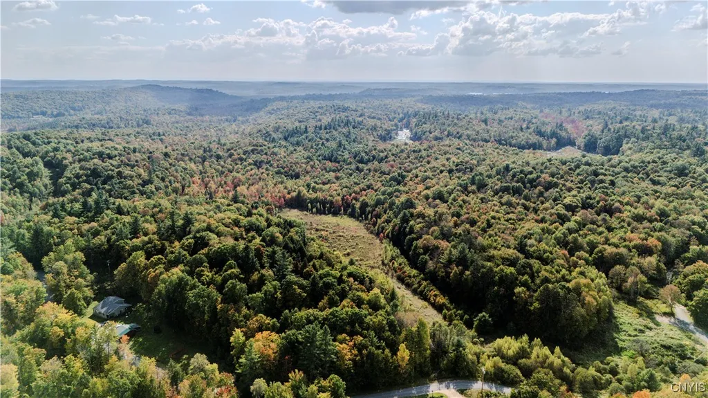 Property at Lot D Corbine Road, Diana, NY 13648