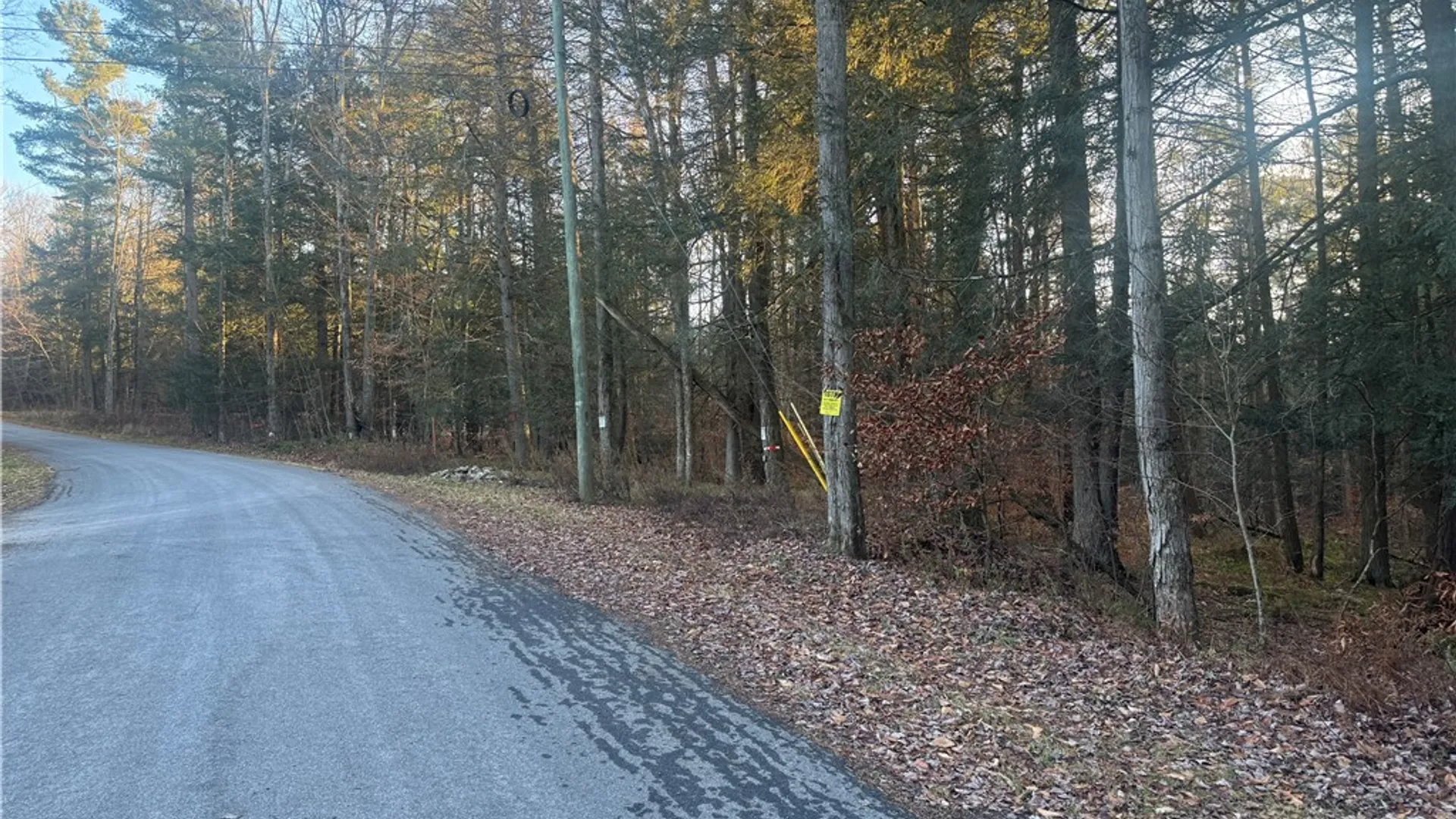 Property at Thorpe Hill Road, Masonville, NY 13838 7