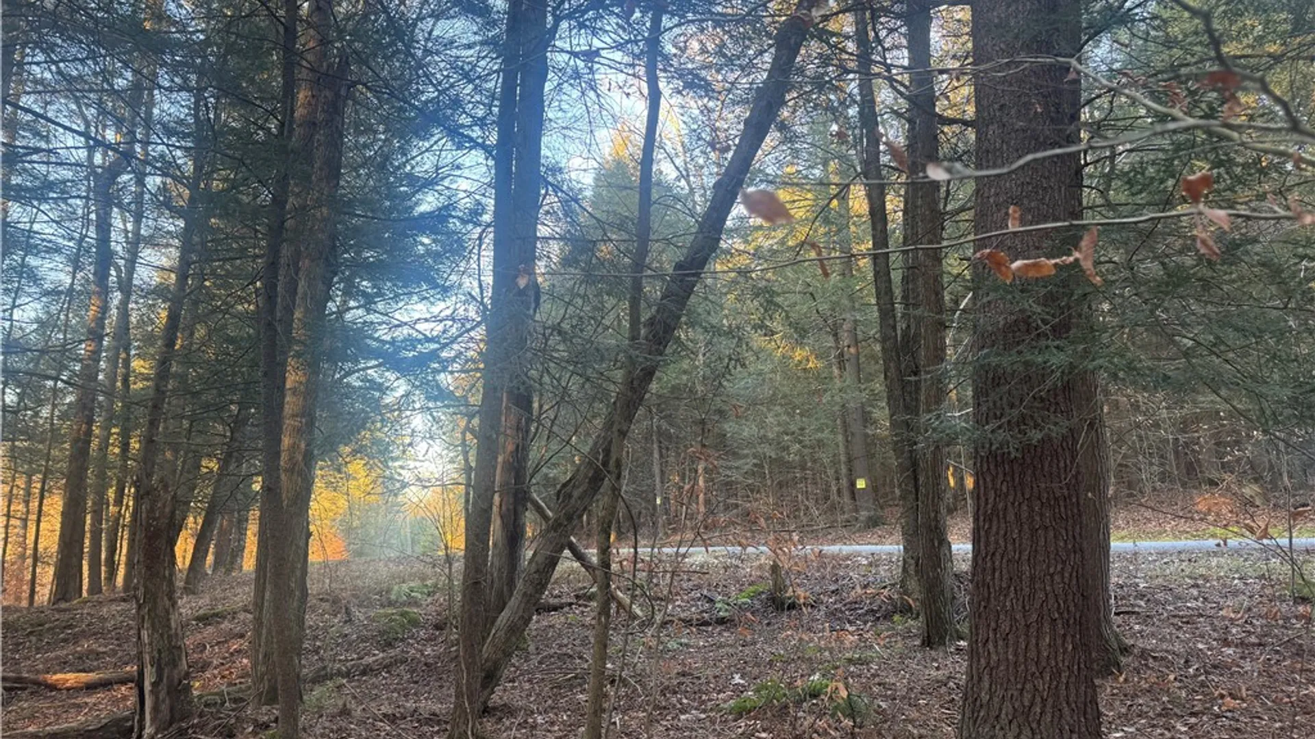 Property at Thorpe Hill Road, Masonville, NY 13838 10