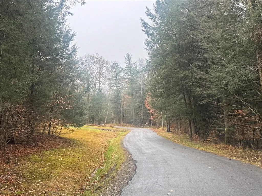 Property at Thorpe Hill Road, Masonville, NY 13838