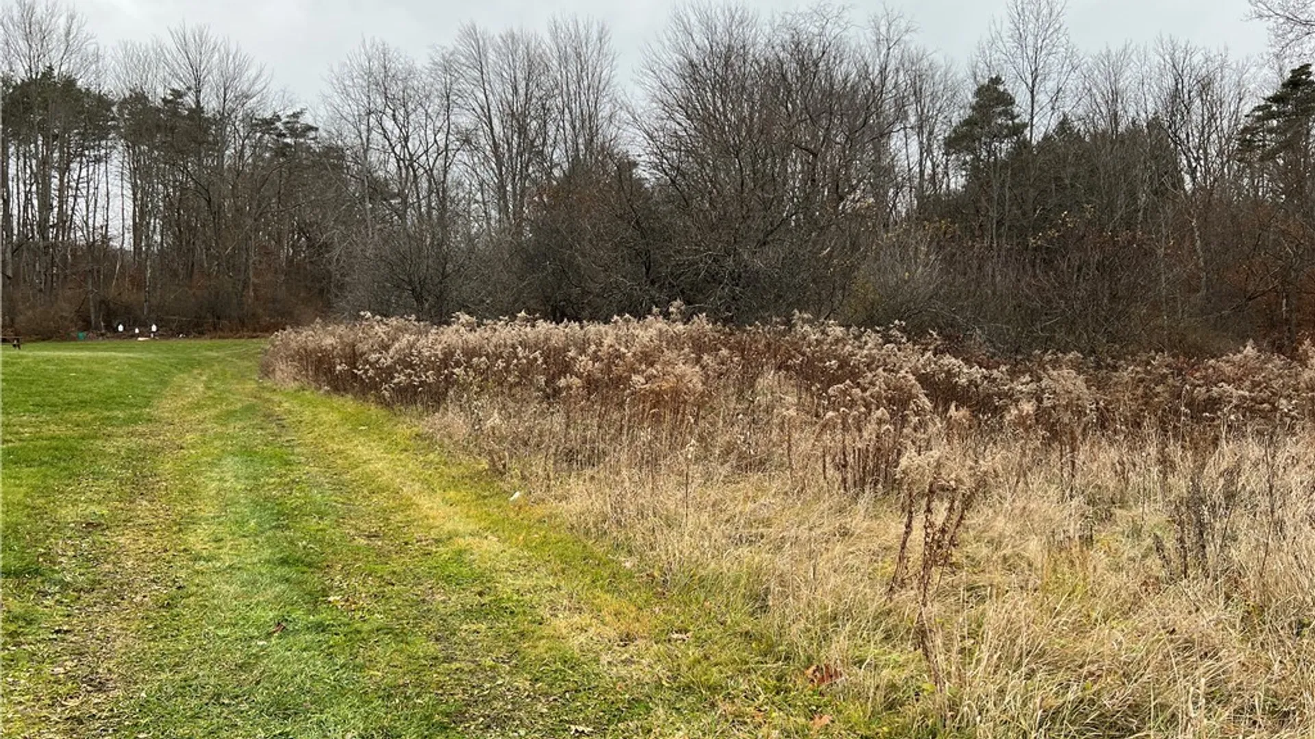 Property at Feathers Creek Road, Amity, NY 14813 6