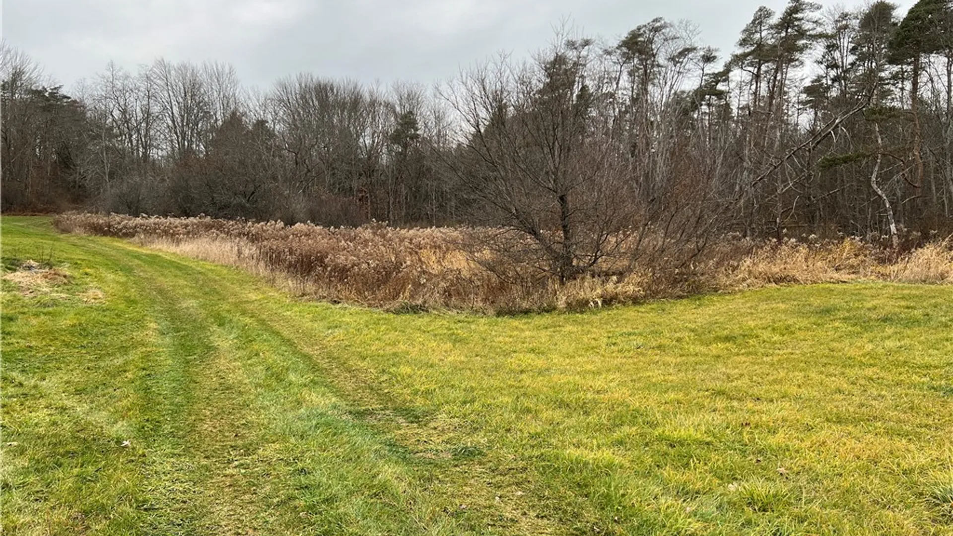 Property at Feathers Creek Road, Amity, NY 14813 7