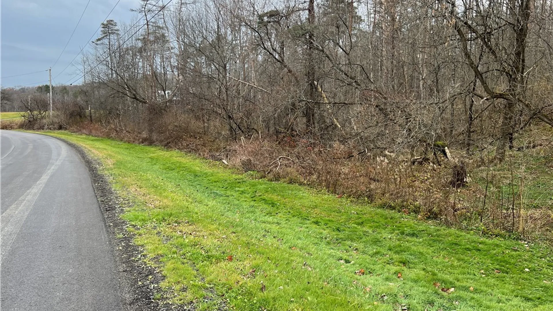 Property at Feathers Creek Road, Amity, NY 14813 8