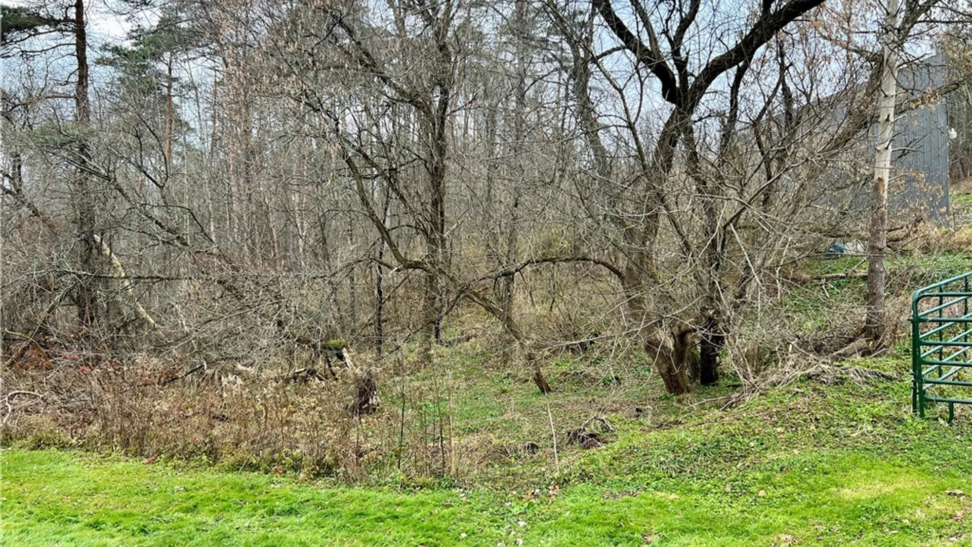 Property at Feathers Creek Road, Amity, NY 14813 9