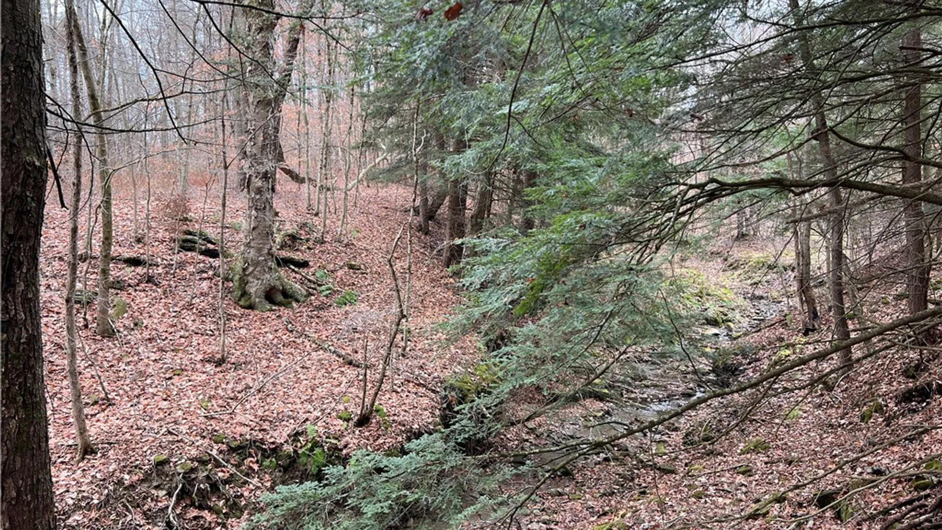 Property at Feathers Creek Road, Amity, NY 14813 12