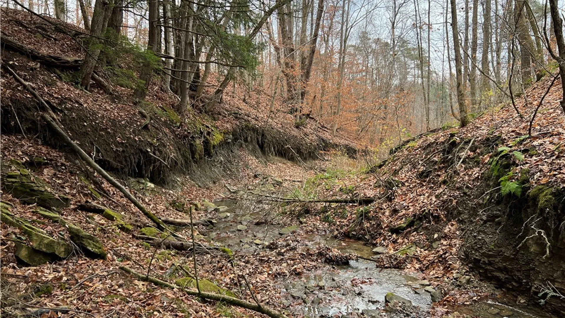 Property at Feathers Creek Road, Amity, NY 14813 13