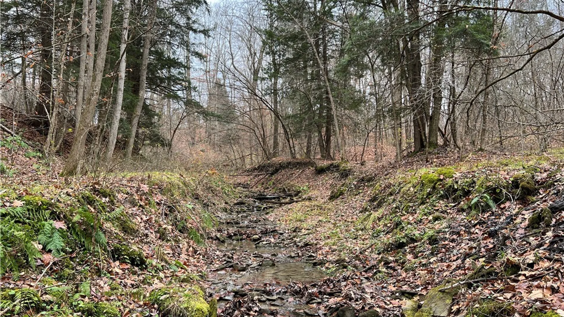 Property at Feathers Creek Road, Amity, NY 14813 15