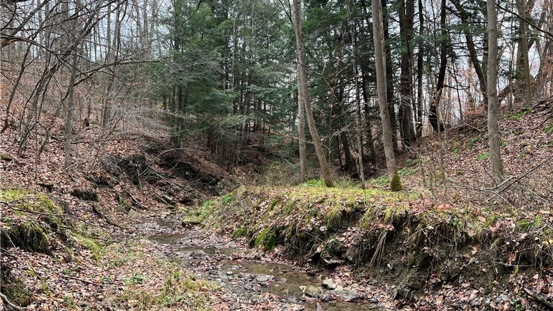 Property at Feathers Creek Road, Amity, NY 14813 16