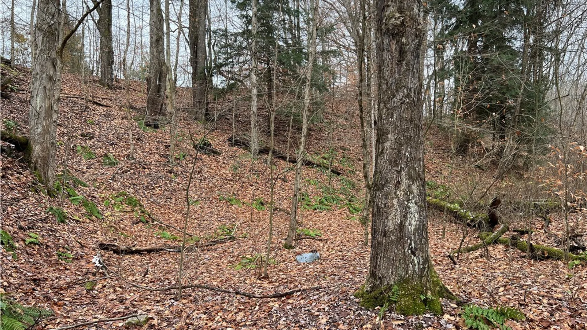 Property at Feathers Creek Road, Amity, NY 14813 17