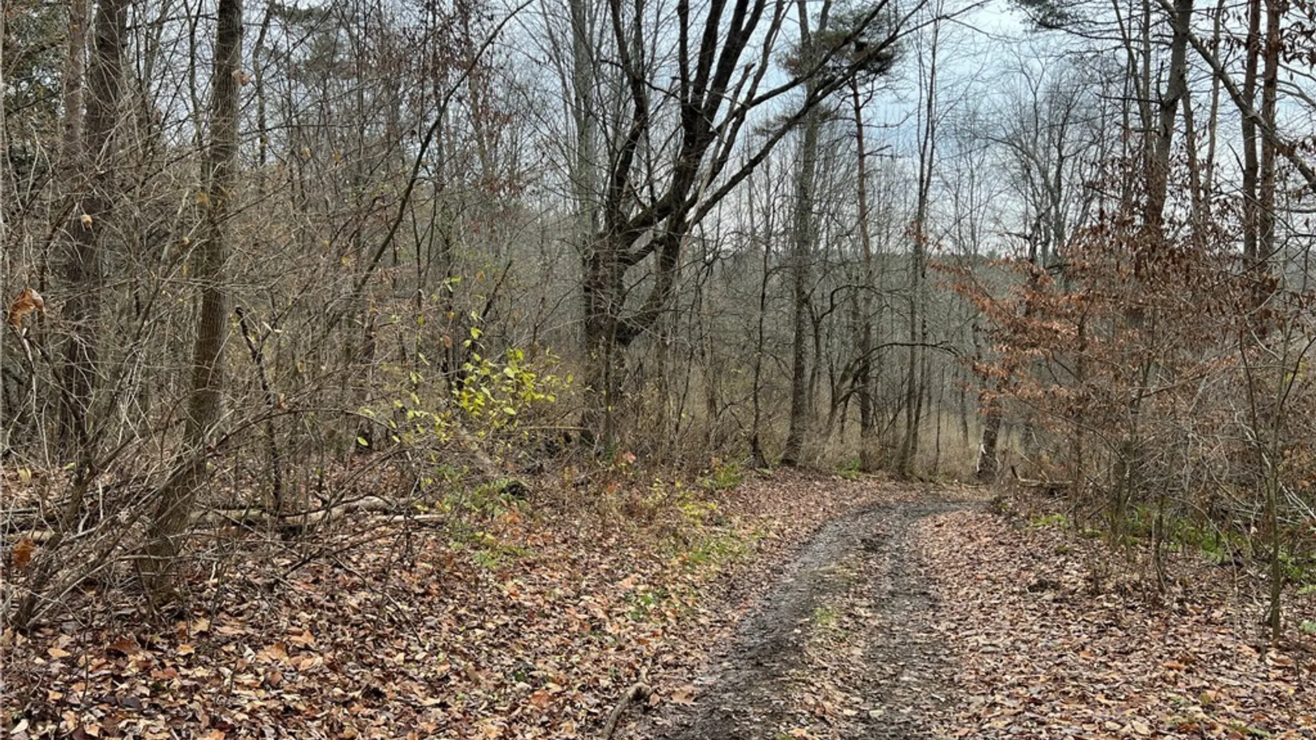 Property at Feathers Creek Road, Amity, NY 14813 18