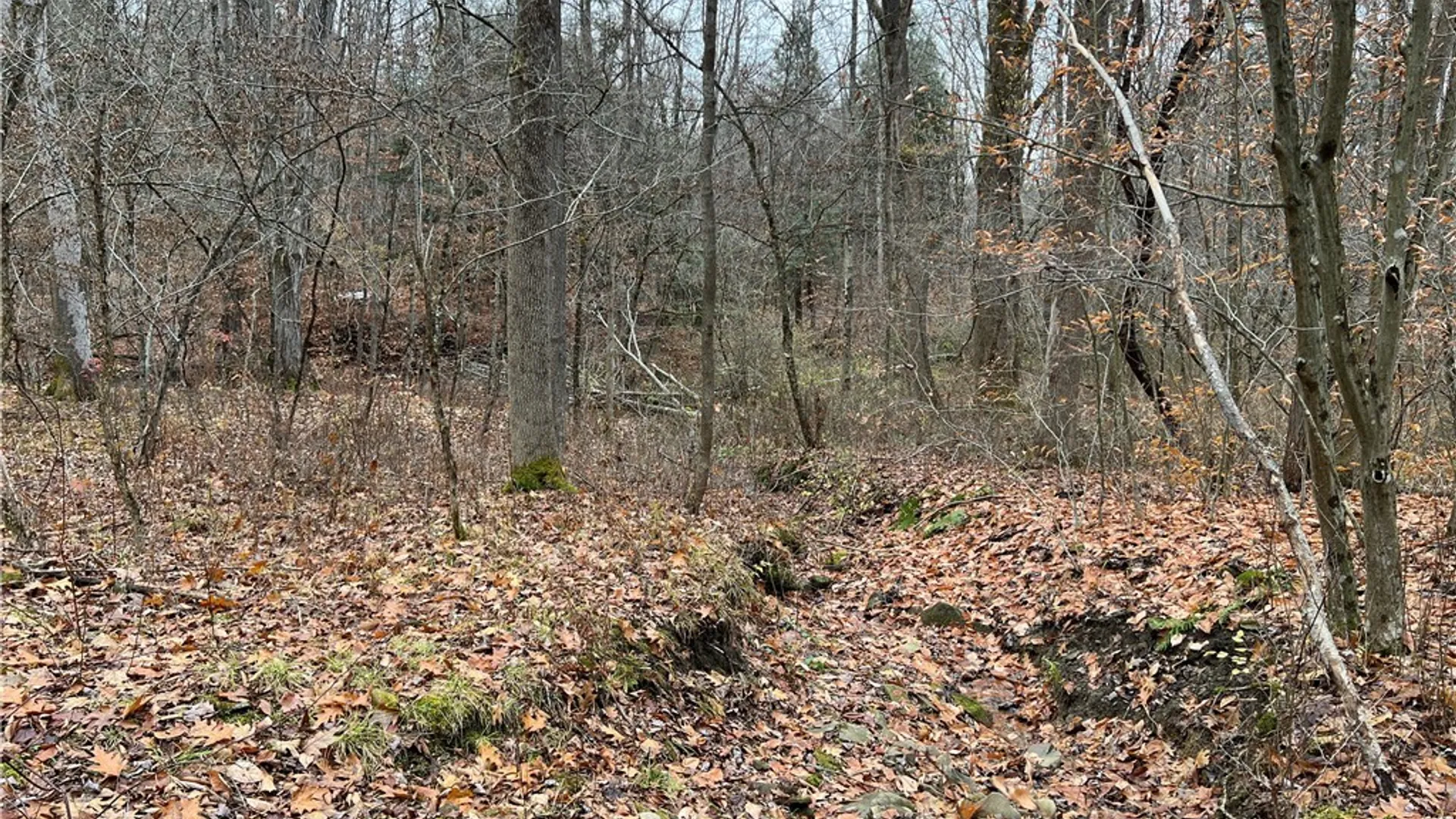 Property at Feathers Creek Road, Amity, NY 14813 20