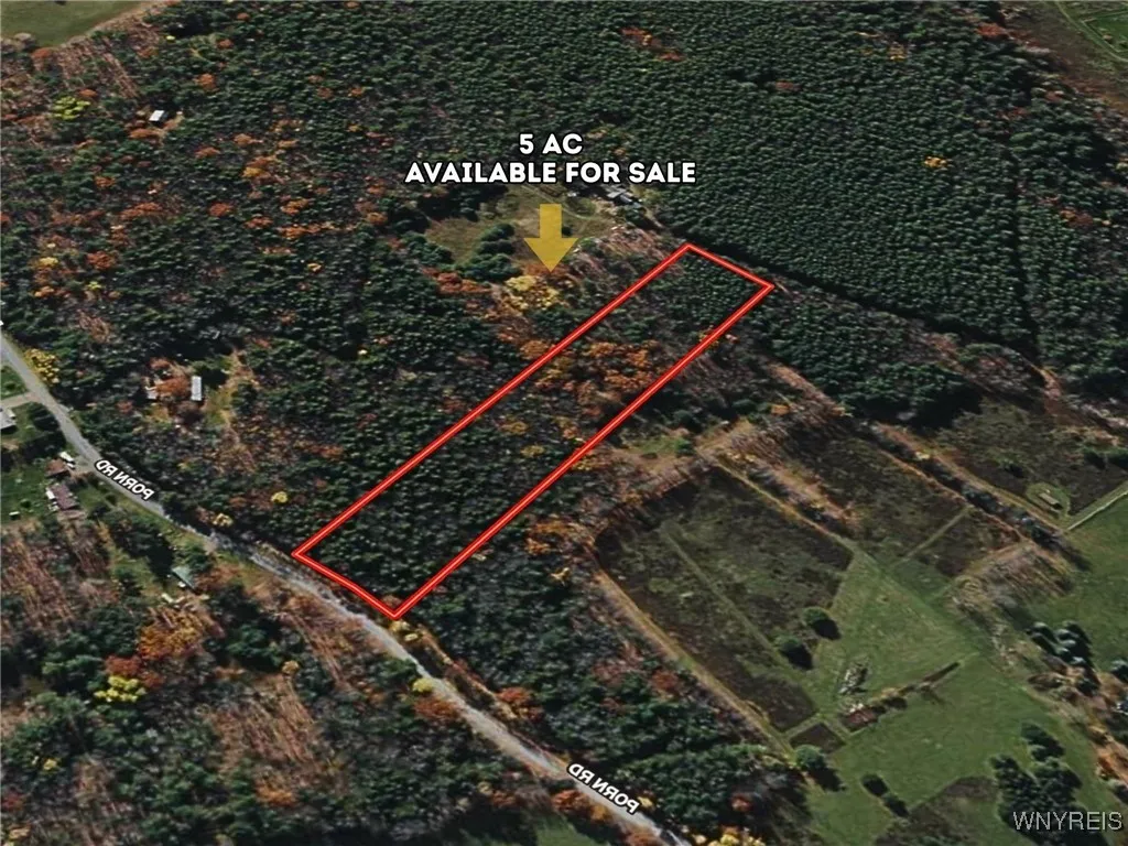 Property at 00 Bruce Porn Road, Gilboa, NY 12167