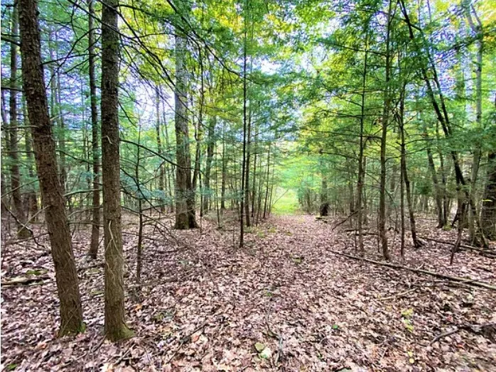 Property at Tinkertown Road, Tuscarora, NY 14801