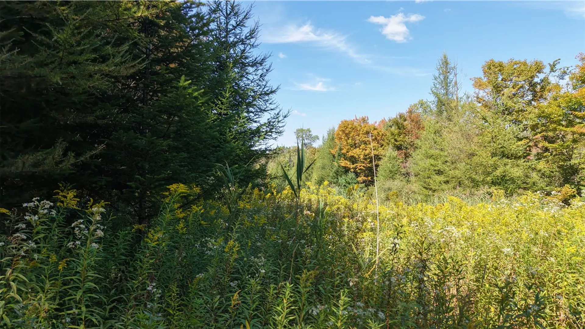 Property at 78 Culver Brook Road, Boonville, NY 13309 6