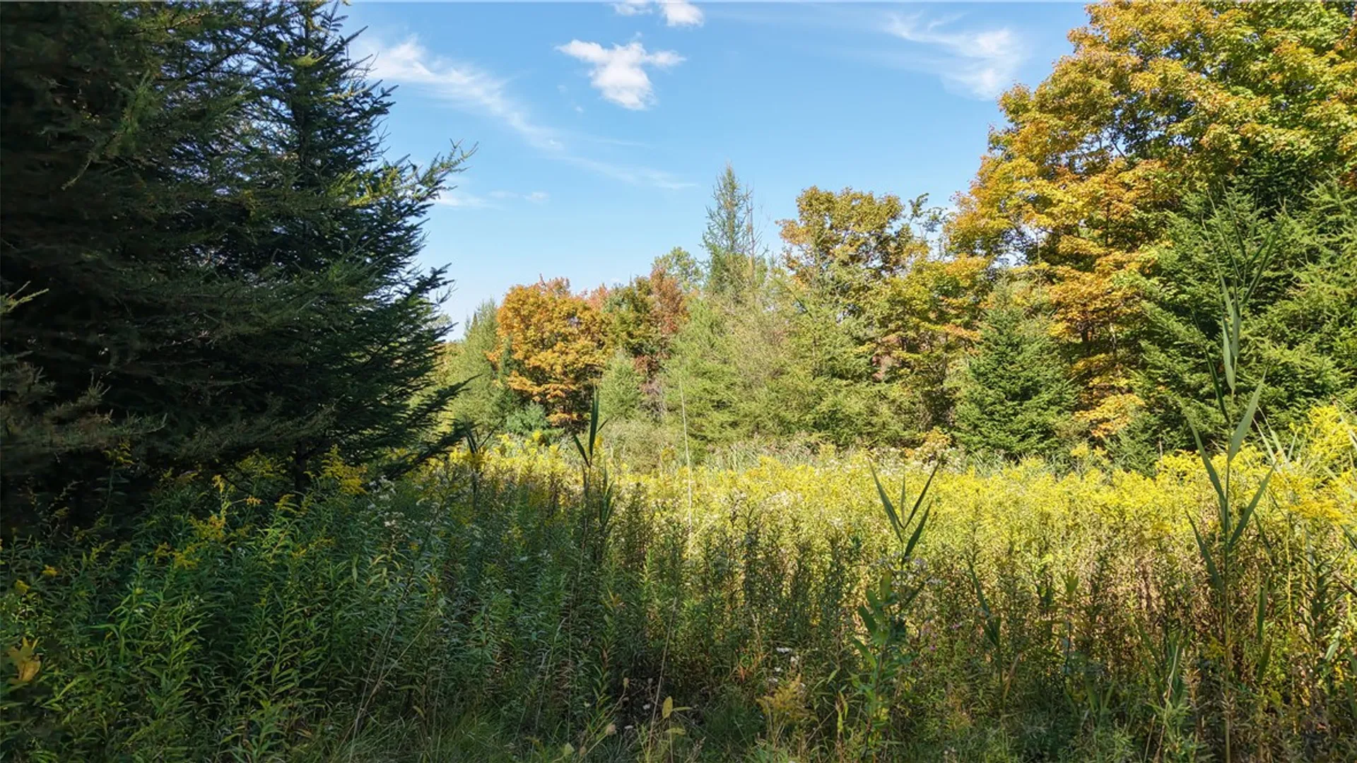Property at 78 Culver Brook Road, Boonville, NY 13309 7