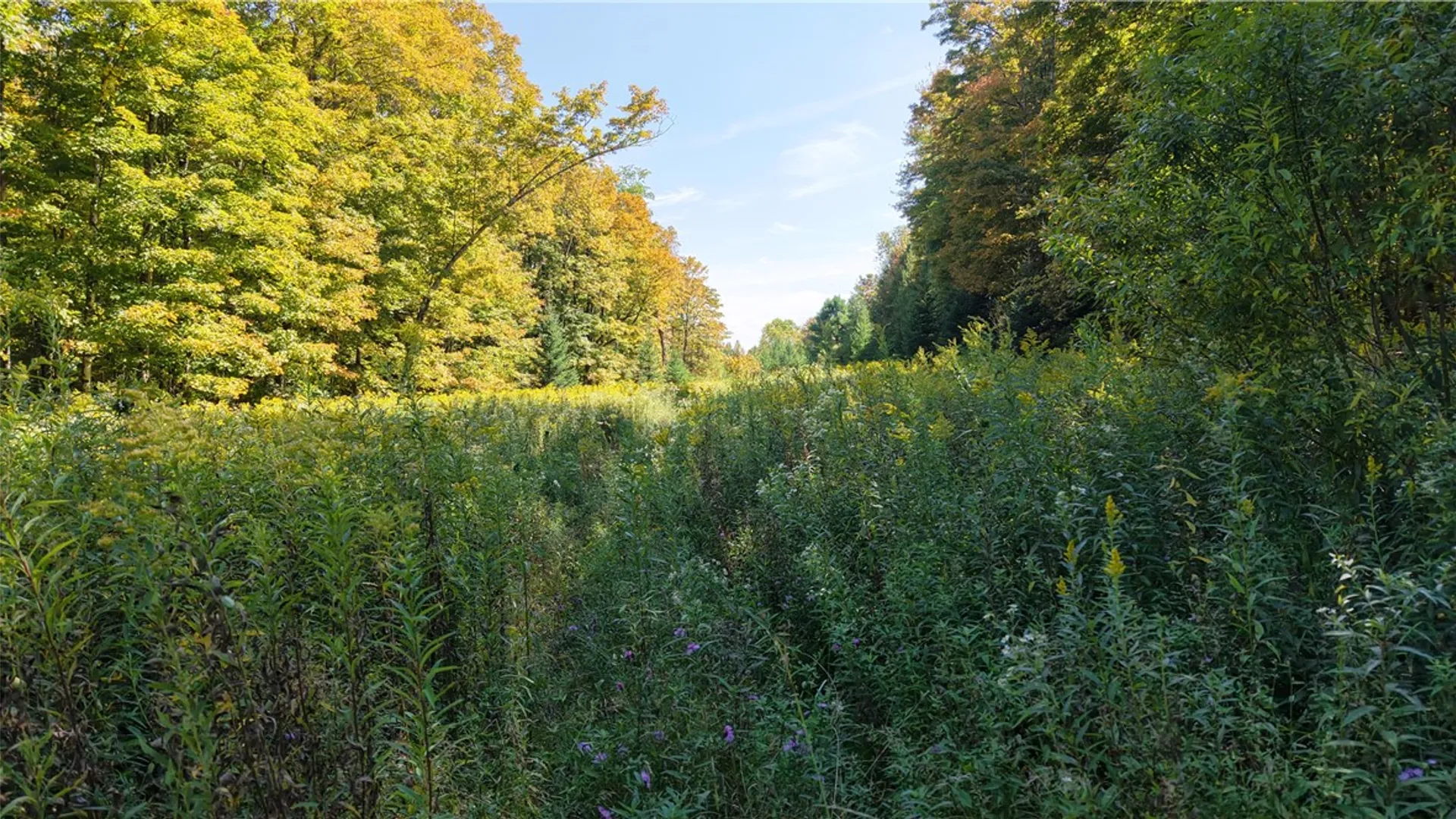 Property at 78 Culver Brook Road, Boonville, NY 13309 9