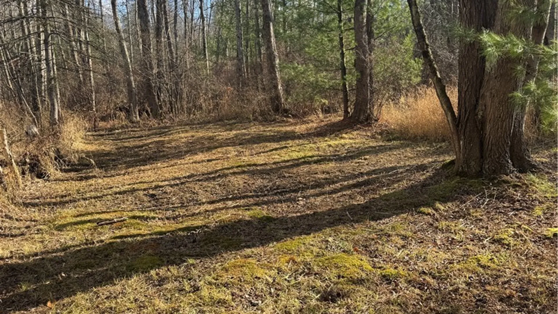 Property at Rt-13, Vienna, NY 13308 5