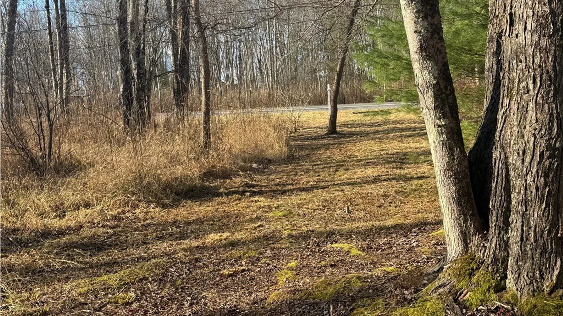 Property at Rt-13, Vienna, NY 13308 3