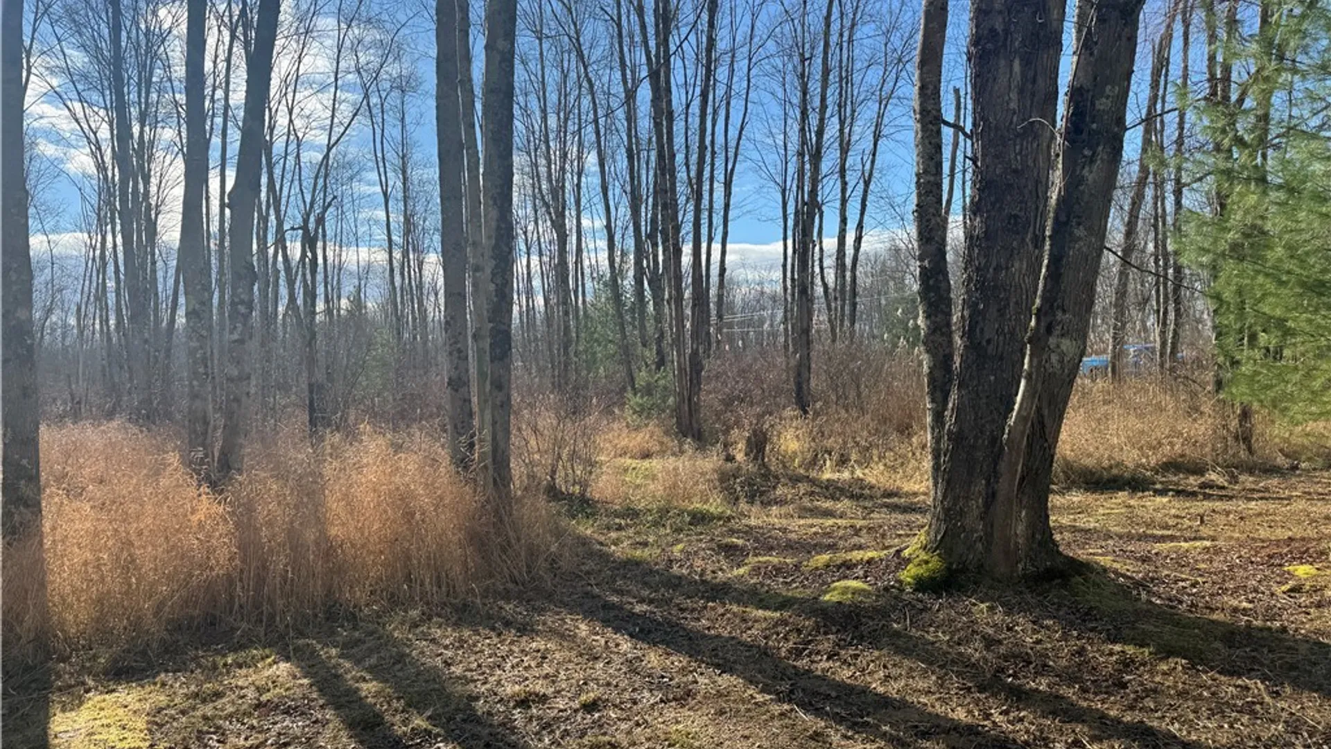 Property at Rt-13, Vienna, NY 13308 7