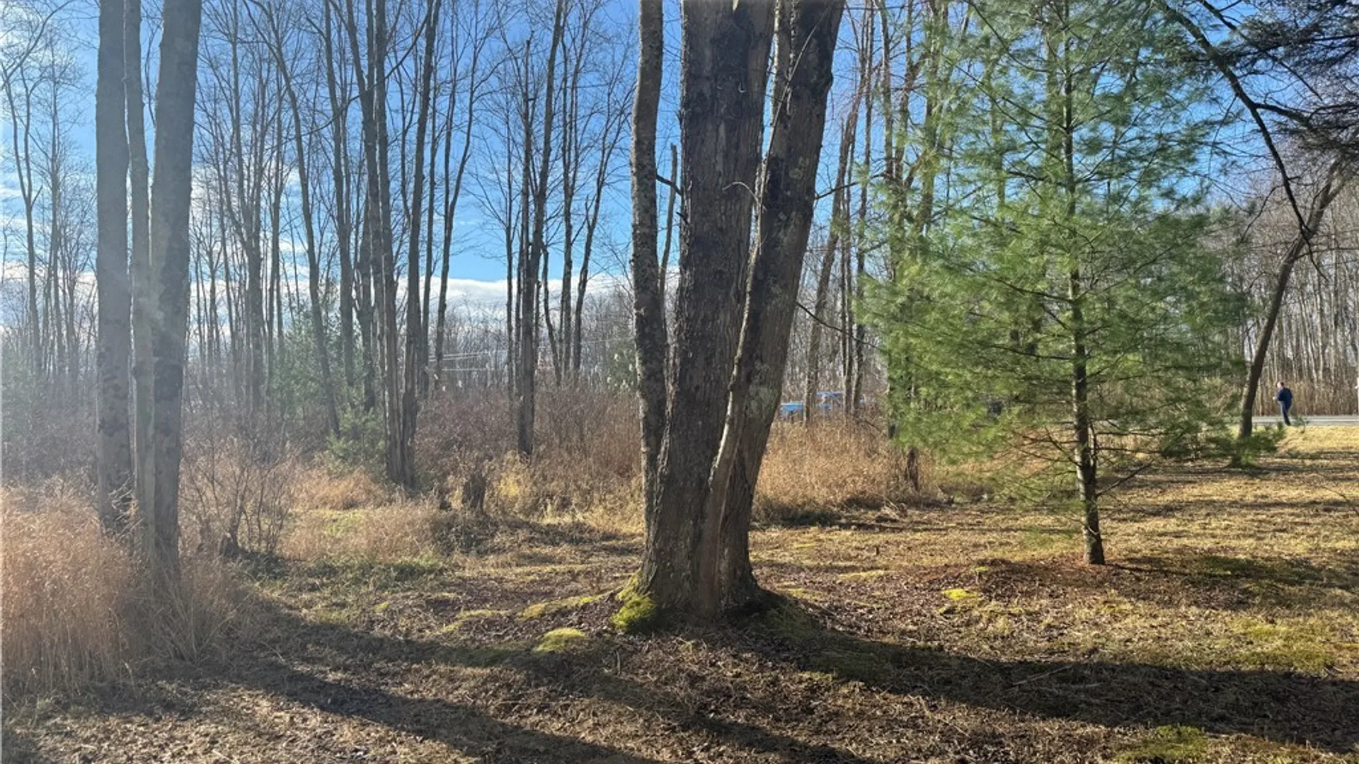 Property at Rt-13, Vienna, NY 13308 8
