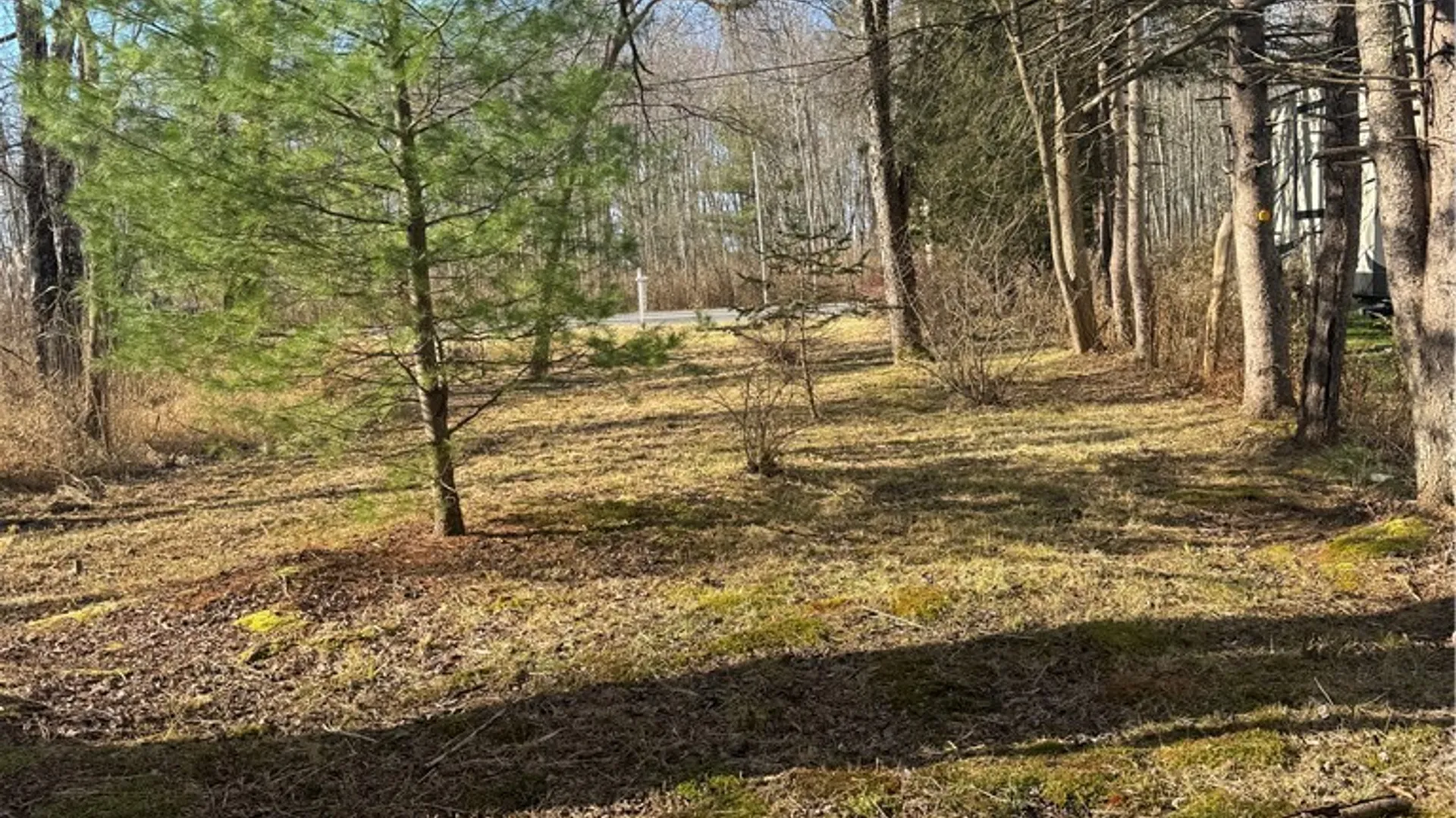 Property at Rt-13, Vienna, NY 13308 4