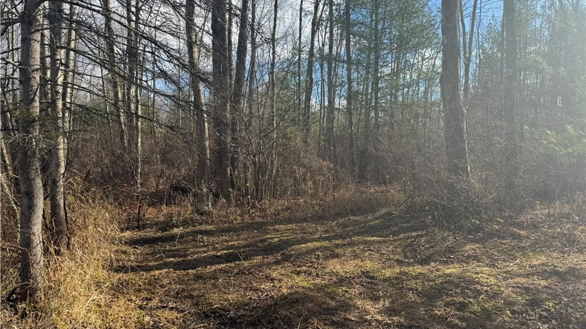 Property at Rt-13, Vienna, NY 13308 9