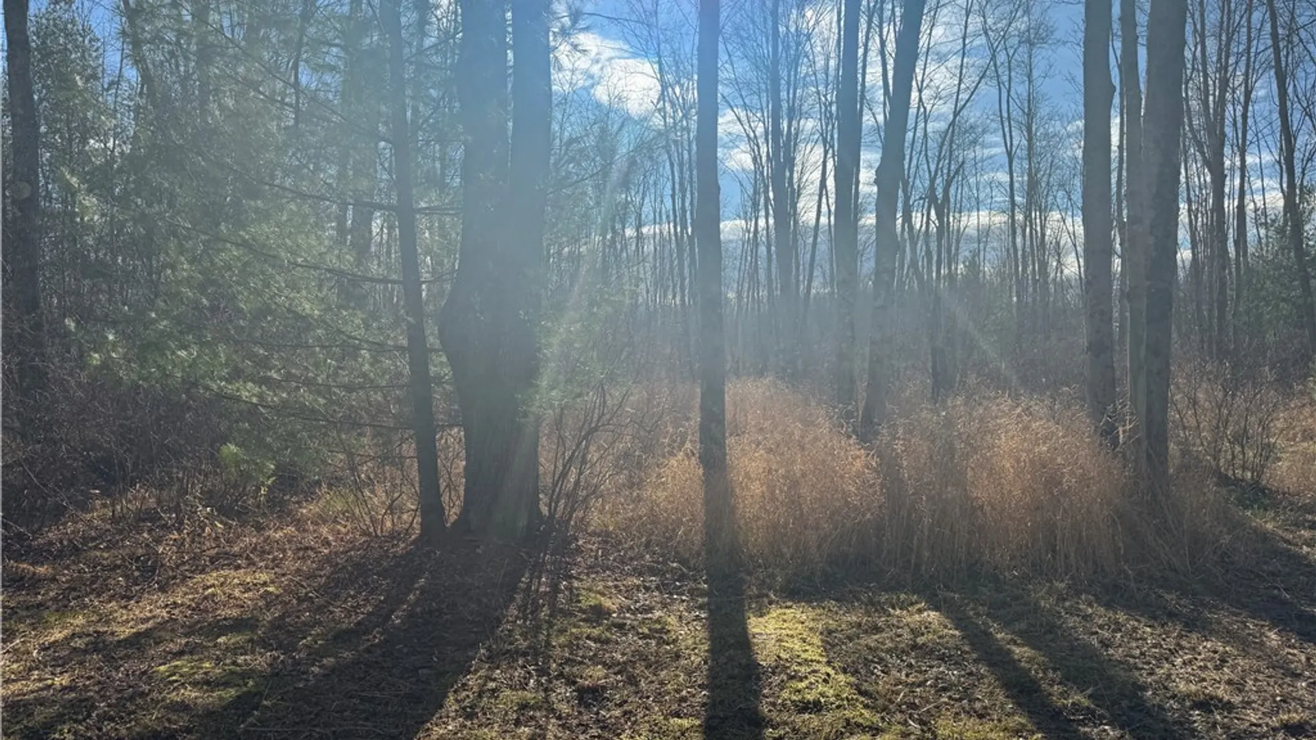 Property at Rt-13, Vienna, NY 13308 10