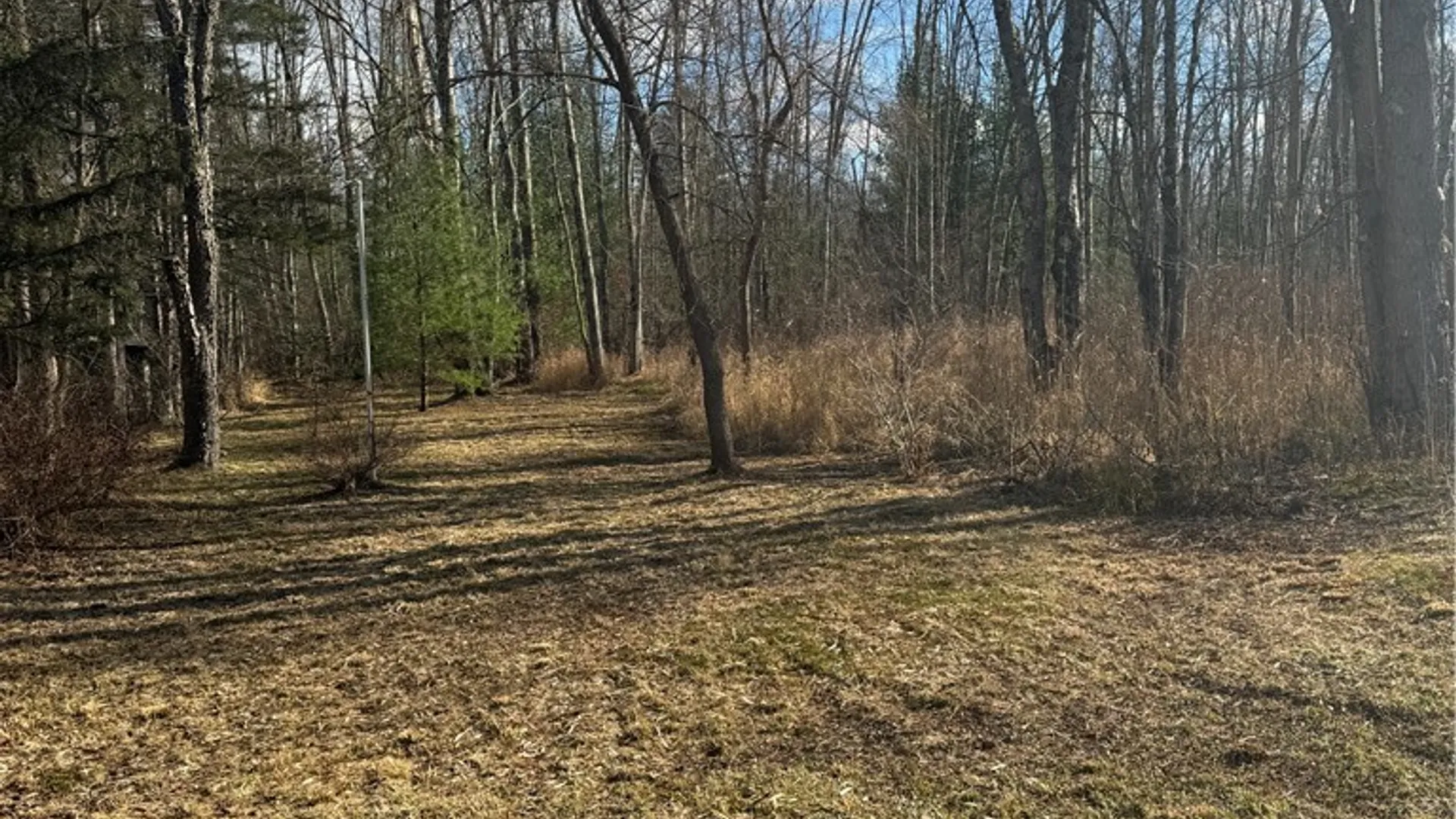 Property at Rt-13, Vienna, NY 13308 11