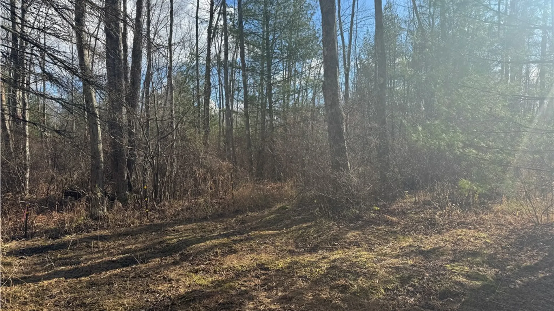 Property at Rt-13, Vienna, NY 13308 12