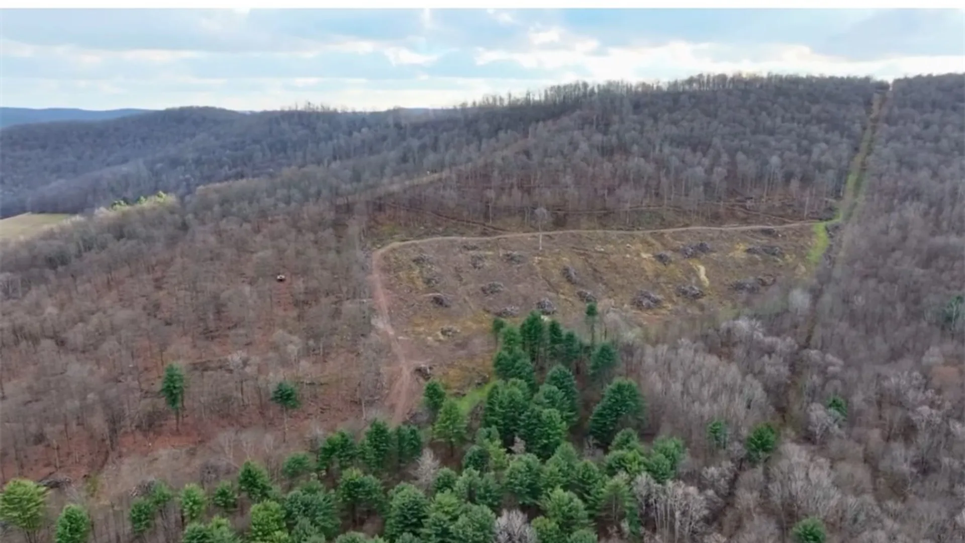 Property at 521 Bolivar Drive, Foster Town, PA 16701 9
