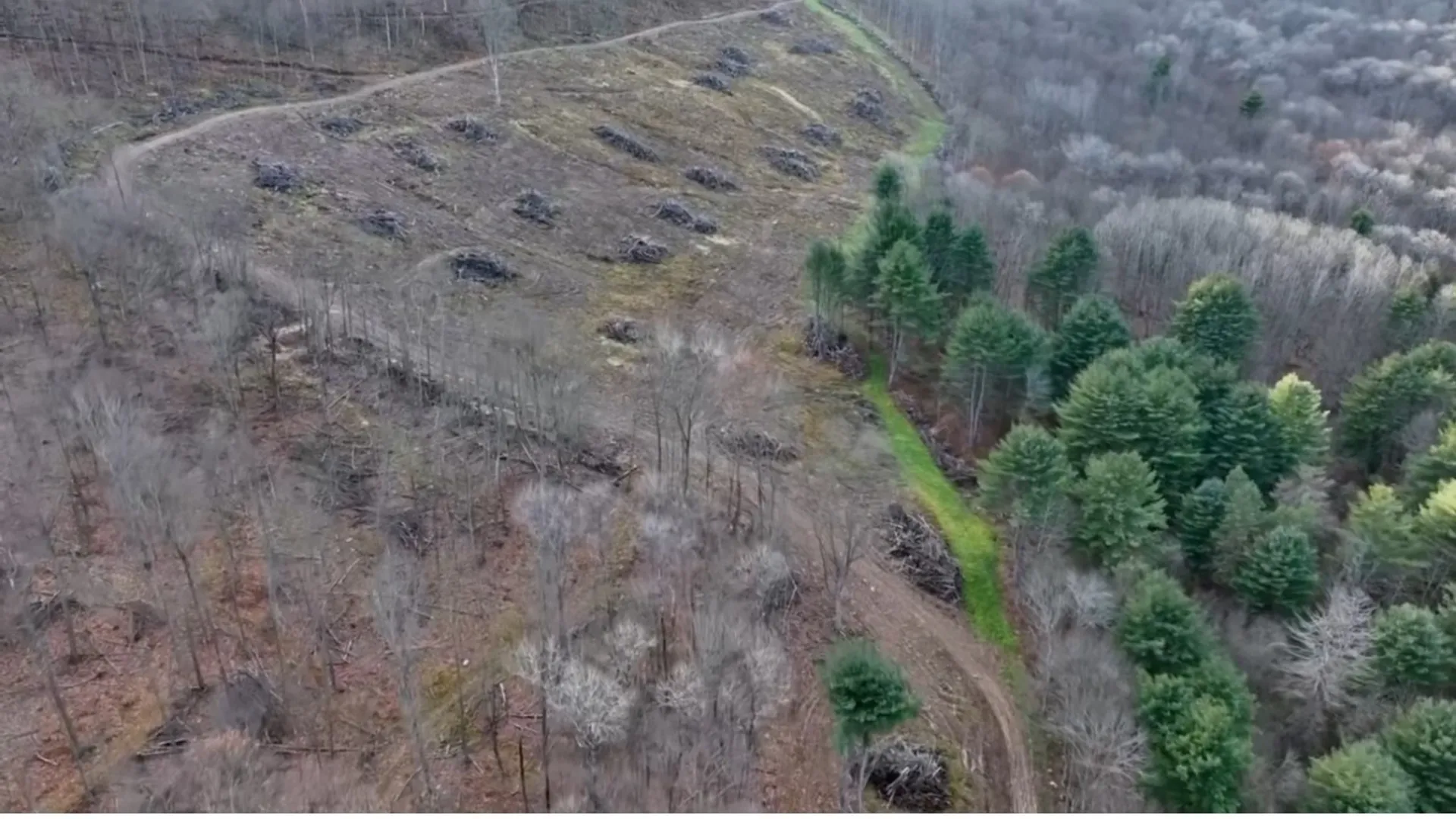 Property at 521 Bolivar Drive, Foster Town, PA 16701 10
