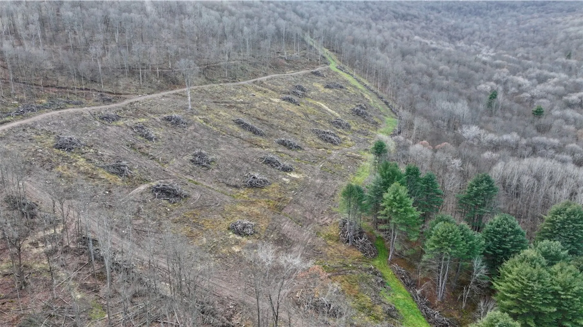 Property at 521 Bolivar Drive, Foster Town, PA 16701 17