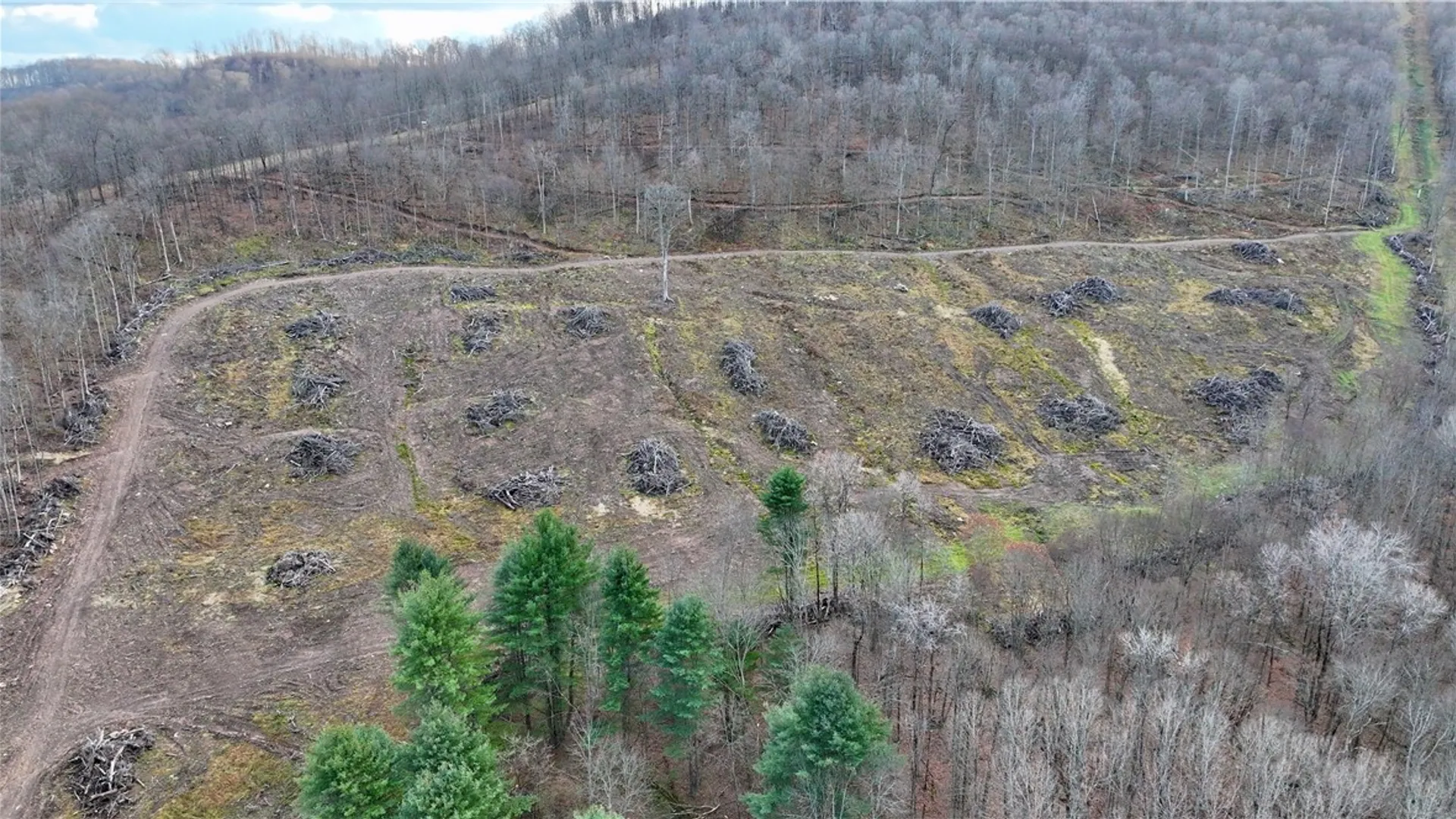 Property at 521 Bolivar Drive, Foster Town, PA 16701 18