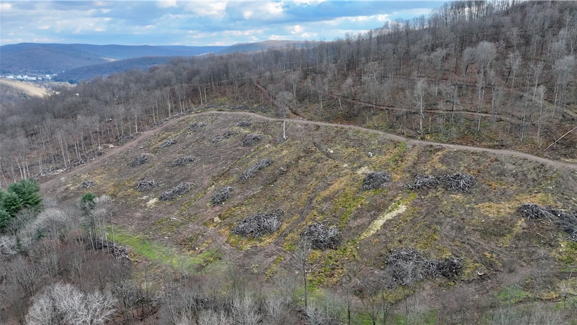 Property at 521 Bolivar Drive, Foster Town, PA 16701 19