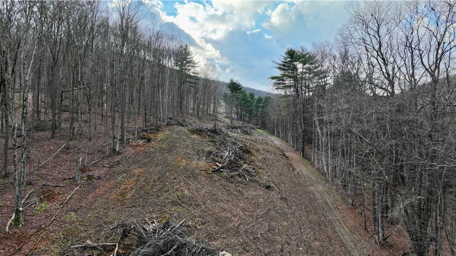 Property at 521 Bolivar Drive, Foster Town, PA 16701 25
