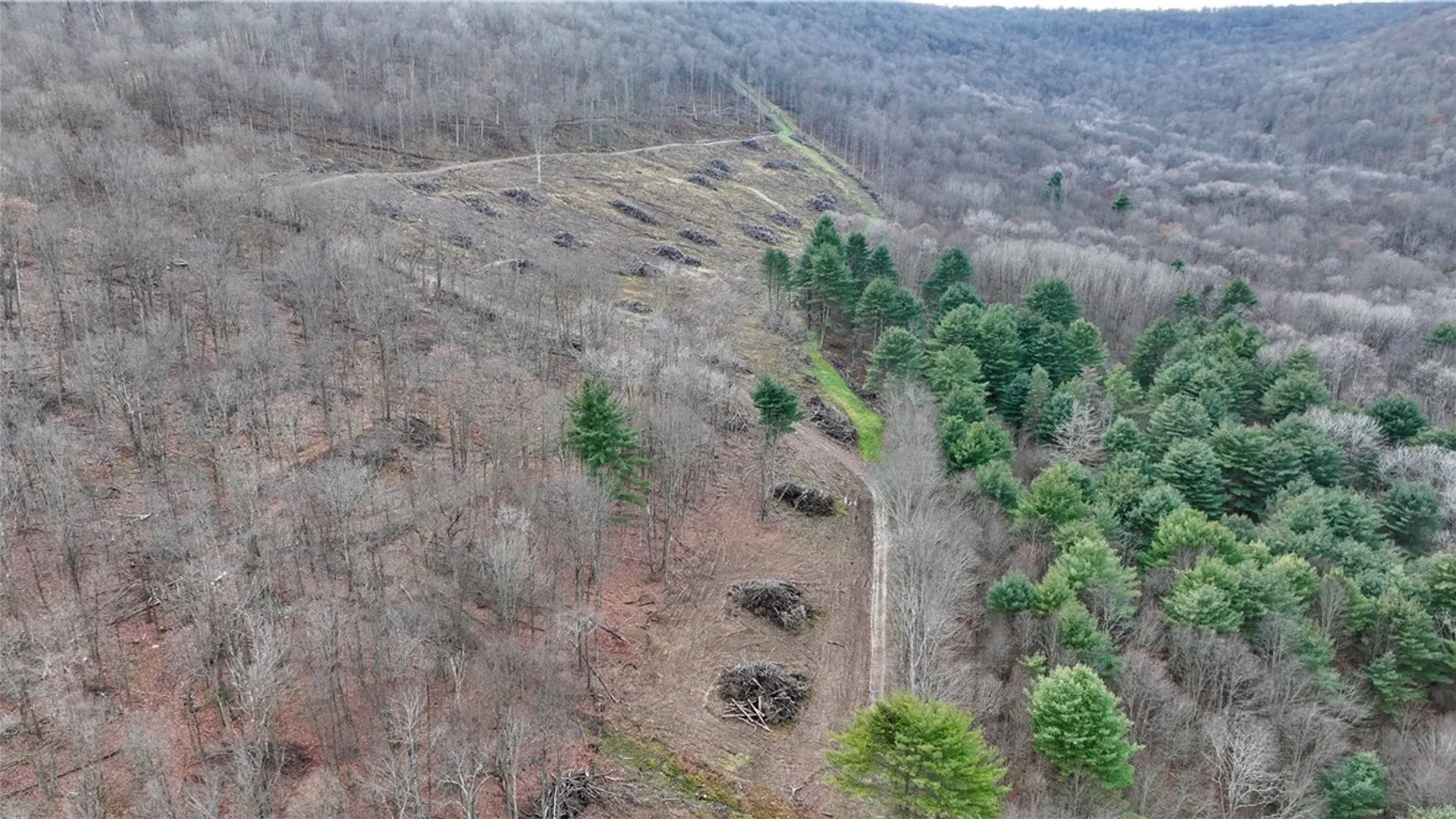 Property at 521 Bolivar Drive, Foster Town, PA 16701 29