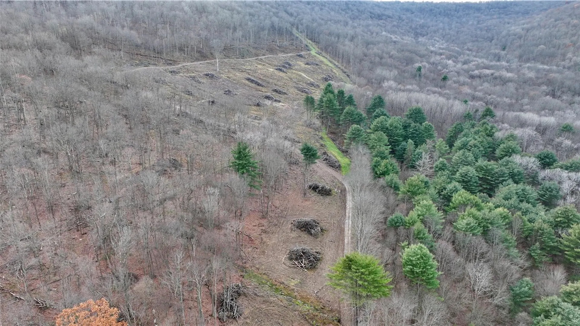 Property at 521 Bolivar Drive, Foster Town, PA 16701 30