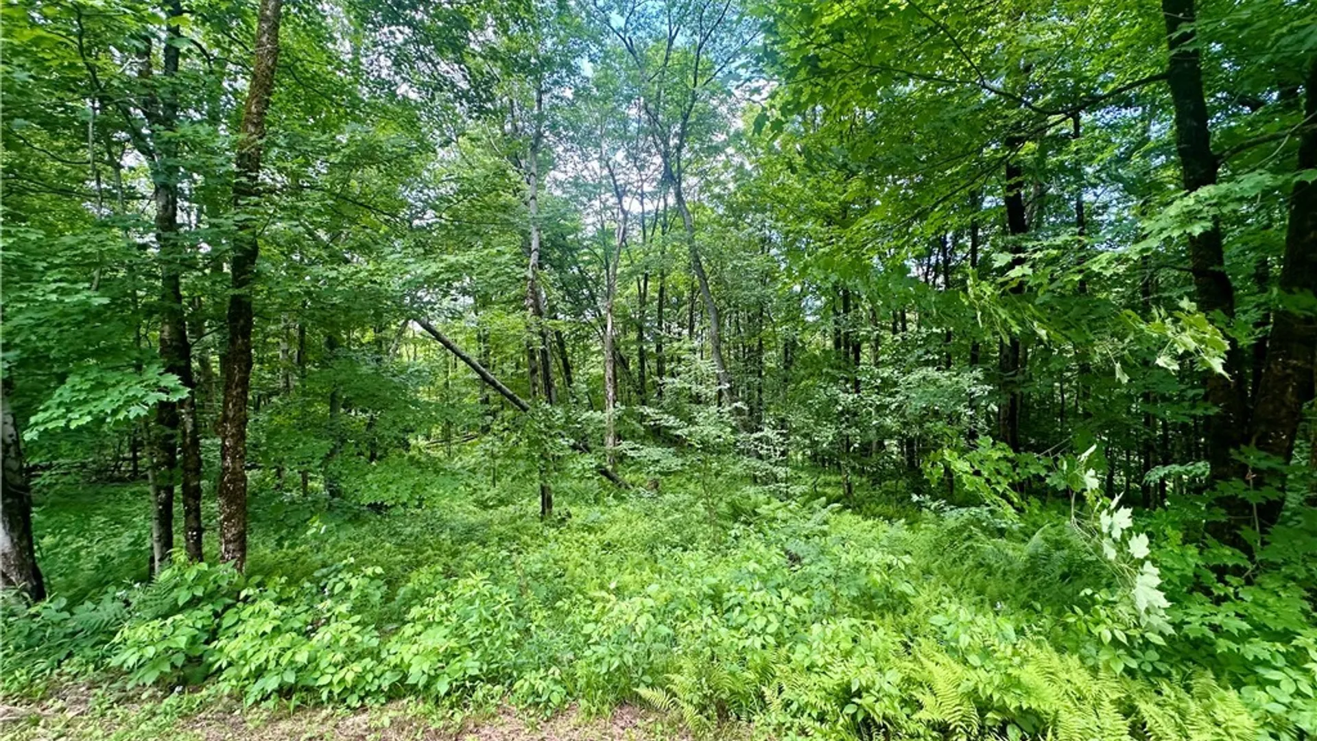 Property at 11650 Creek Road, Annsville, NY 13471 18