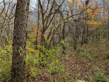 Property at Ryan Road, Osceola, NY 13493