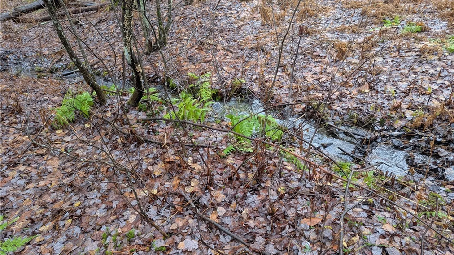 Property at Ryan Road, Osceola, NY 13493 6