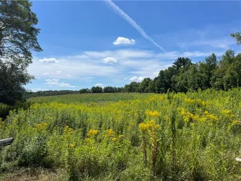 Property at 181 Short Crumhorn Road, Maryland, NY 12116