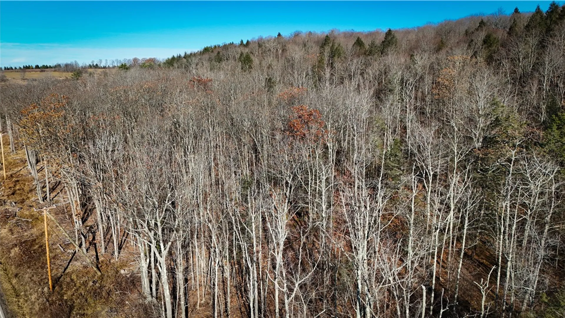 Property at Lot-02 Langford Creek Road, Van Etten, NY 14889 3